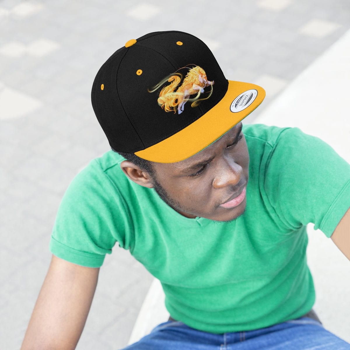 The Vision Slayer Celestial Lion | Unisex All Pro Gamer | Baseball Snapback Hat