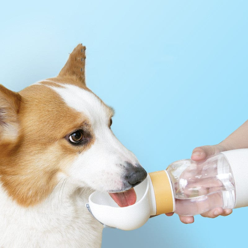 Portable Dog Walking Drinking Water Bottle